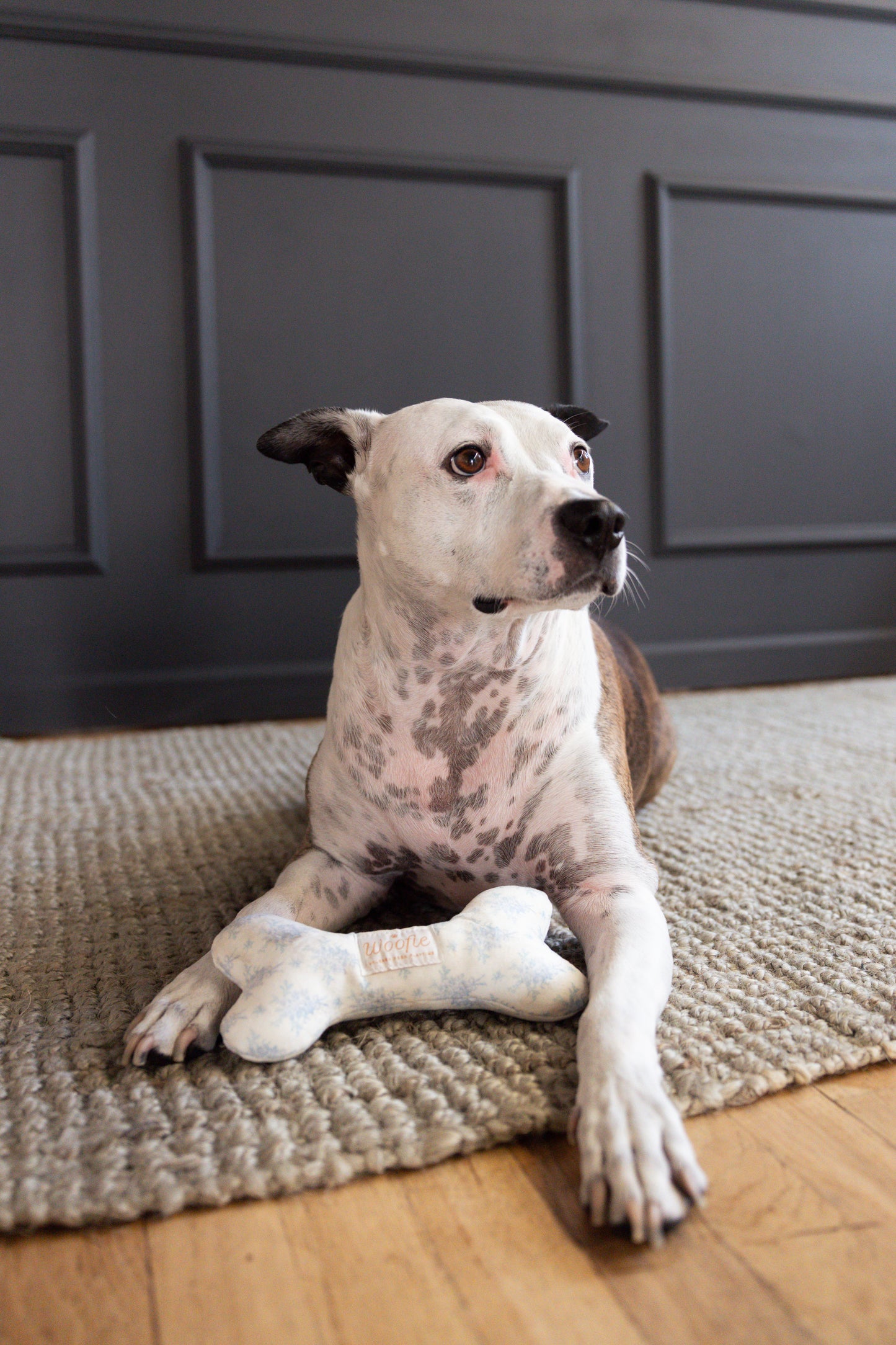 Teacup Blue Bloom Bone